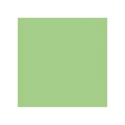 Hamer papir, 220g/m2, 70x100cm, sv. zeleni, 1/10