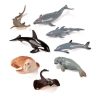 Set morskih životinja